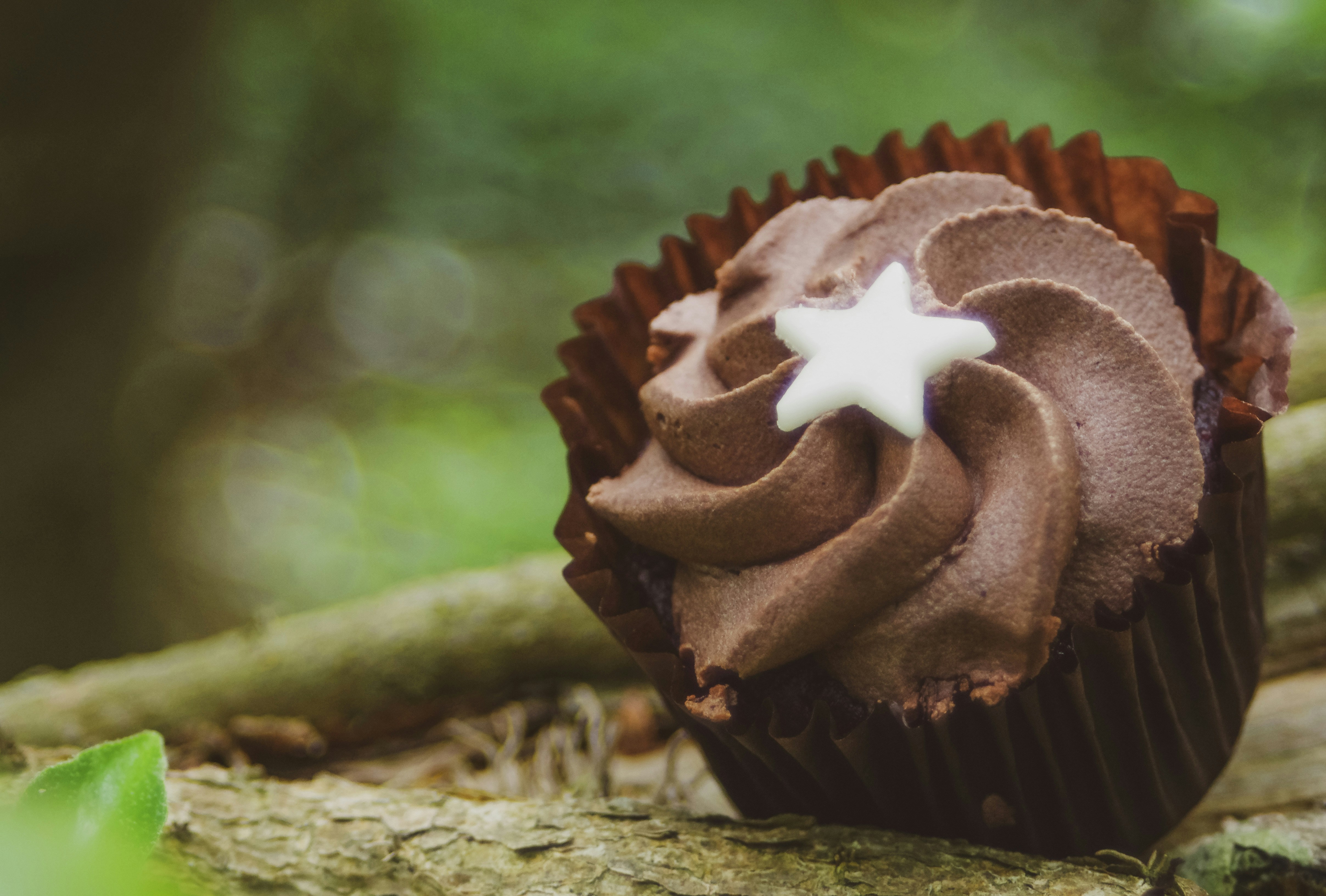 brown cupcake with a white star on its top sitting on wood outside